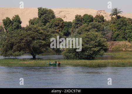 Un pêcheur hanche-profond dans le Nil avec un bateau à rames en bois au milieu d'une flore luxuriante contrastant avec les collines arides près d'Esna, en Égypte. Banque D'Images