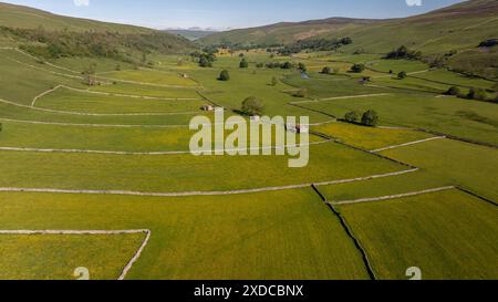 Un panorama aérien à couper le souffle sur les Yorkshire Dales, avec des prairies de papillons, des structures en pierre et des murs sinueux Banque D'Images