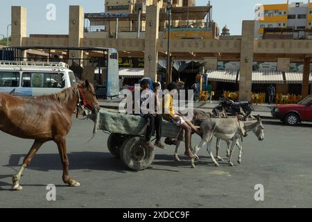 Quatre garçons égyptiens en tenue moderne sur une charrette à âne conduisant un cheval esquiver la circulation moderne à l'extérieur de la gare d'Assouan, en Égypte. Banque D'Images