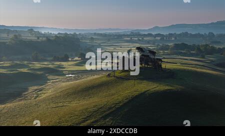 Cette image capture un matin brumeux serein dans les collines ondulantes de Hawes, situé dans les pittoresques Yorkshire Dales du Royaume-Uni, avec la lumière subtile du soleil Banque D'Images