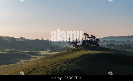 Mettant en valeur les collines vallonnées calmes et les arbres épars typiques de la région de Hawes à l'intérieur des Yorkshire Dales au Royaume-Uni, baignés par la douce lumière du lever du soleil Banque D'Images