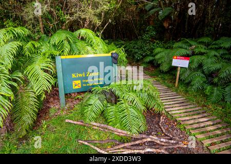 Kiwi zone - Nouvelle-Zélande Banque D'Images