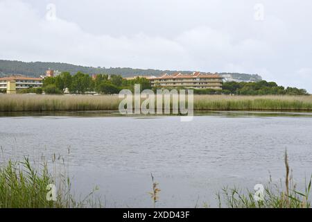 Zones humides ter Vell situées dans la ville d'Estartit dans la région du Baix Empordá, Catalogne, Espagne Banque D'Images