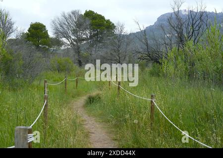 Zones humides ter Vell situées dans la ville d'Estartit dans la région du Baix Empordá, Catalogne, Espagne Banque D'Images