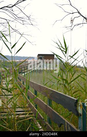 Zones humides ter Vell situées dans la ville d'Estartit dans la région du Baix Empordá, Catalogne, Espagne Banque D'Images