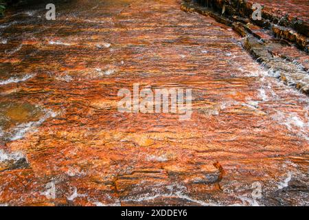 Eau coulant sur le lit de pierre précieuse de jaspe de couleur rouge et orange à Quebrada de Jaspe, Jasper Creek, Gran Sabana, Venezuela Banque D'Images