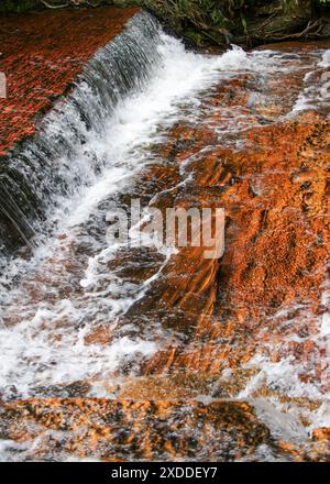 Petite cascade à Quebrada de Jaspe, Jasper Creek, avec le lit de pierre précieuse de jasper rouge et orange, Gran Sabana, Venezuela Banque D'Images