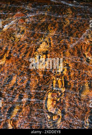 Motif de jaspe rouge et orange dans le lit de la rivière à Quebrada de Jaspe, Jasper Creek, Gran Sabana, Venezuela Banque D'Images