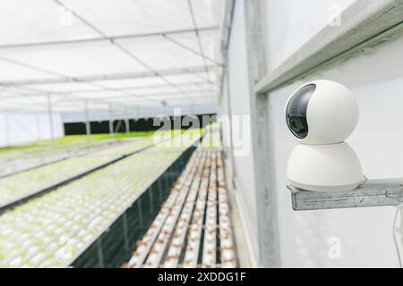 Gros plan caméra numérique ferme agricole moniteur CCTV intérieur et sécurité de l'industrie de la webcam, dispositif de système agricole intelligent. Banque D'Images