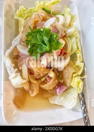 Salade de méduses épicée sur une assiette blanche. Banque D'Images