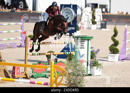 Christian Ahlmann d'Allemagne avec D'aganix 2000 Z lors de la compétition de saut d'obstacles du Prix Turkish Airlines CSI5* au Longines Paris Eiffel Jumping le 21 juin 2024, Paris, France (photo par Maxime David - MXIMD Pictures) Banque D'Images