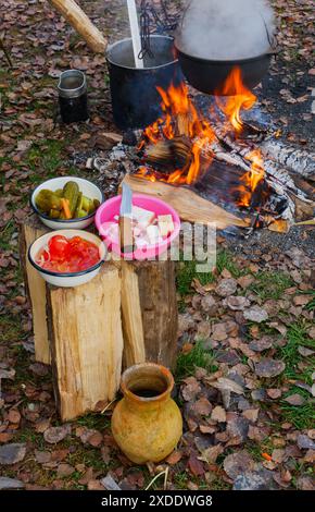 Trois assiettes avec des concombres marinés, des tomates et du bacon et la nourriture est cuite au feu dans trois chaudrons. Pique-nique dans la nature au bord du feu, un ensemble de produits Banque D'Images