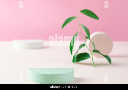 Stand publicitaire vert avec des feuilles vertes. Podium de gypse pour la présentation de produits cosmétiques. Banque D'Images