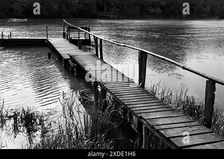 Ponton en bois sur le petit Danube en noir et blanc Banque D'Images