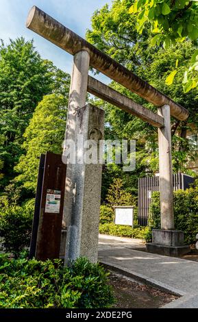 Porte d'entrée en pierre (« torii ») du Nezu Jinja, un sanctuaire shinto établi à l'époque Tokugawa et situé dans le quartier Bunkyō de Tokyo, au Japon Banque D'Images