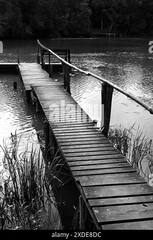 Ponton en bois sur le petit Danube en noir et blanc en grand format Banque D'Images