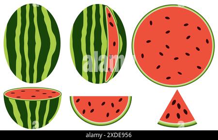 Fruits frais de pastèque sains, entiers, demi et quart isolés sur un fond blanc Illustration de Vecteur