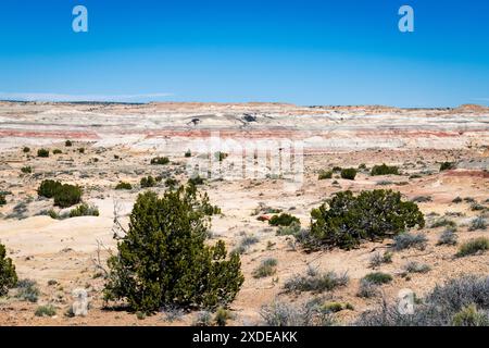 De Na Zin Badlands désert sauvage Banque D'Images