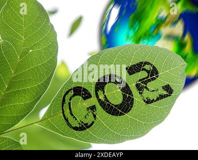 Allemagne - 22 juin 2024 : arbre aux feuilles vertes et inscription CO2. Concept symbolise des sujets liés au changement climatique en lien avec le dioxyde de carbone, par exemple COâ empreinte et COâ taxe. PHOTOMONTAGE *** Baum mit grünen Blättern und Aufschrift CO2. Konzept symbolisiert Themen rund um den Klimawandel im Zusammenhang mit Kohlenstoffdioxid, bzw. Kohlendioxid, wie z.B. COâ-Fußabdruck und COâ-Steuer. FOTOMONTAGE Banque D'Images