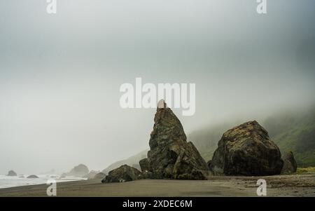 Sea Stacks le long du California Coast Trail dans le parc national de Redwood Banque D'Images