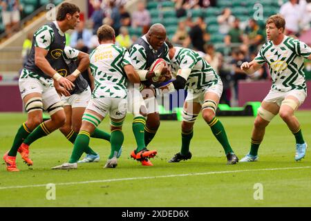 Londres, Royaume-Uni. 22 juin 2024. Londres, Angleterre, samedi 22 juin 2024 : Bongi Mbonambi (South Africa 16 - Sharks) se réchauffe avant le match de la Qatar Airways Cup entre l'Afrique du Sud et le pays de Galles au Twickenham Stadium à Londres, Angleterre, samedi 22 juin 2024. (Claire Jeffrey/SPP) crédit : photo de presse SPP Sport. /Alamy Live News Banque D'Images