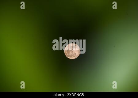 Bandung, Java occidental, Indonésie. 22 juin 2024. La pleine lune de fraises s'élève au-dessus du ciel à Bandung, Java occidental. En Indonésie, la lune aux fraises sera clairement visible le 22 juin 2024. (Crédit image : © Dimas Rachmatsyah/ZUMA Press Wire) USAGE ÉDITORIAL SEULEMENT! Non destiné à UN USAGE commercial ! Banque D'Images