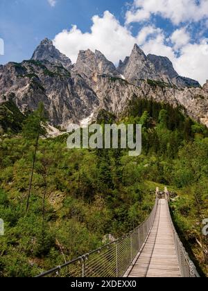 Pont suspendu devant le Muehlsturzhoernern, Klausbachtal, Reiteralpe, Parc National de Berchtesgaden, Alpes de Berchtesgaden, Ramsau Banque D'Images