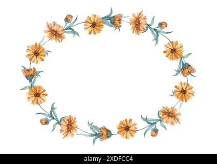 Couronne Calendula de boutons floraux isolés sur blanc. Illustration aquarelle dessinée à la main. Banque D'Images