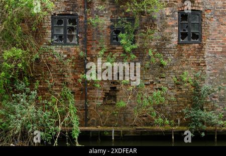 Entrepôt abandonné près du canal de Birmingham, Wolverhampton, West Midlands, Royaume-Uni. 2 mai 2024 Banque D'Images