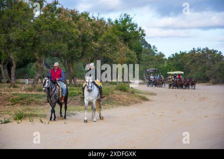 Calèches et calèches à travers les marais du parc national de Doñana lors du pèlerinage annuel au village d'El Rocio Banque D'Images