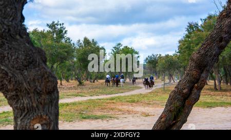 Calèches et calèches à travers les marais du parc national de Doñana lors du pèlerinage annuel au village d'El Rocio Banque D'Images