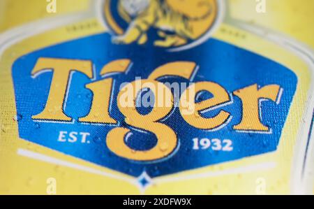 Viersen, Allemagne - 9 mai. 2024 : détail gros plan de la publicité de signe métallique Singapore Tiger Beer Banque D'Images