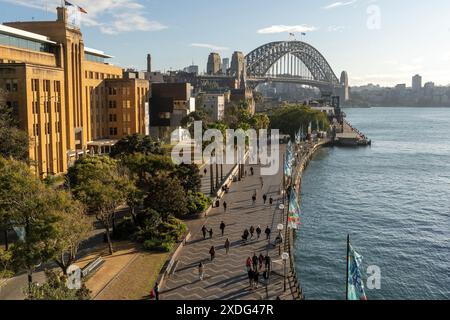 Vue sur le port de Sydney depuis Observatory Park jusqu'à Sydney Rocks Area et North Sydney Banque D'Images