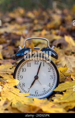 Réveil vintage sur les feuilles sèches tombées dans le parc d'automne avec espace de copie pour le texte. Banque D'Images