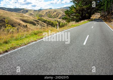 Masterton Castlepoint Road - Nouvelle-Zélande Banque D'Images