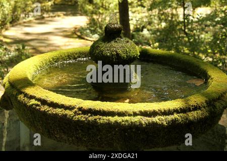 Chase City, Virginie, États-Unis. Bassin de pierre de fontaine d'eau couvert de mousse dans MacCallum plus Musée et jardins. Banque D'Images