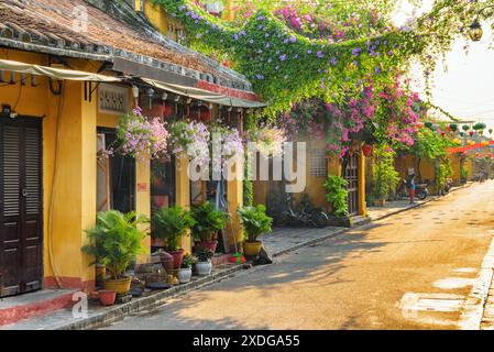 Hoi an (Hoian), Vietnam - 12 avril 2018 : vue matinale de rue confortable décorée de fleurs. Pittoresques maisons jaunes traditionnelles. Banque D'Images