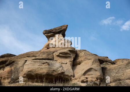 L'eau, la glace et le vent ont érodé le grès dans le parc provincial Writing-on-Stone en Alberta au Canada pour obtenir des formes surréalistes. Banque D'Images