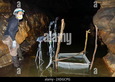 Les scientifiques de biologie recueillent des échantillons de vie forme organisme dans une grotte Banque D'Images