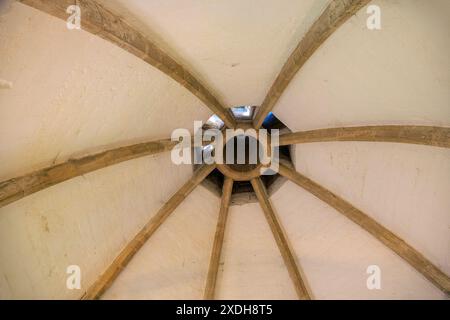 L'architecture du toit à l'intérieur de la cuisine des Abbots à Glastonbury Abbey Ruins, maintenant un monument antique planifié, Somerset, Angleterre, Royaume-Uni Banque D'Images