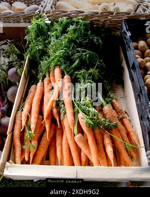 Carottes sans dessus dans une boîte en bois affichée sur un étal de rue Greengrocers. Banque D'Images