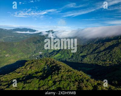 Forêt de nuages brumeux dans les contreforts des hautes terres de Chiriqui dans le volcan Baru, Panama, Amérique centrale - photo stock Banque D'Images