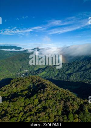 Forêt de nuages brumeux dans les contreforts des hautes terres de Chiriqui dans le volcan Baru, Panama, Amérique centrale - photo stock Banque D'Images