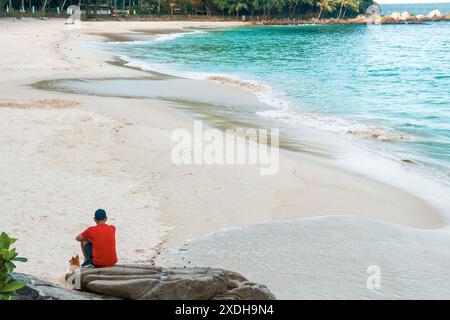 Vue arrière de l'homme assis sur les rochers avec le chien, profitant d'une plage de sable sereine et vide et les vagues douces de l'océan. Mâle solitaire avec chien rouge relaxant Banque D'Images
