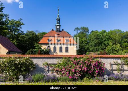 Schlosspark Tiefenau Schloss Tiefenau ist eine denkmalgeschützte Schlossanlage in Tiefenau, einem Ortsteil der Gemeinde Wülknitz im Meißen Landkreis sächsischen. Die am Anfang des 18. Jahrhunderts im barocken Stil errichtete ehemalige Schloss- beziehungsweise Rittergutsanlage ist mit einem Park, der einstigen Schlosskapelle und einem angrenzenden Friedhof unmittelbar neben der Bundesstraße 169 zu finden. DAS Tiefenauer Schloss selbst wurde im Jahre 1948 gesprengt. 2019 wurden Sanierungsarbeiten im alten Rittergut begonnen. Inzwischen befinden sich Park und Kapelle in einem gepflegten Zustand u Banque D'Images