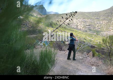Un membre de la Guardia civil près du dernier endroit connu de Jay Slater, près du village de Masca, Tenerife, où la recherche de l'adolescent britannique disparu Jay Slater, 19 ans, d'Oswaldtwistle, Lancashire, se poursuit. Date de la photo : dimanche 23 juin 2024. Banque D'Images