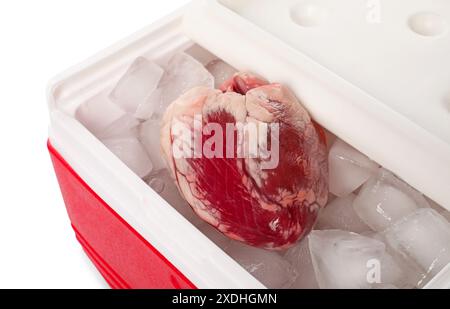 Coeur avec de la glace dans la boîte froide sur fond blanc Banque D'Images