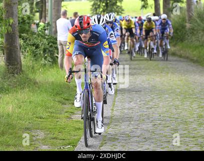 Zottegem, Belgique. 23 juin 2024. Tim Declercq belge de Lidl-Trek photographié en action lors de la course d'élite masculine des Championnats de Belgique de cyclisme, 220 km, de Sint-Lievens-Houtem à Zottegem, dimanche 23 juin 2024. GROUPE DE PHOTOS BELGA TOM GOYVAERTS crédit : Belga News Agency/Alamy Live News Banque D'Images