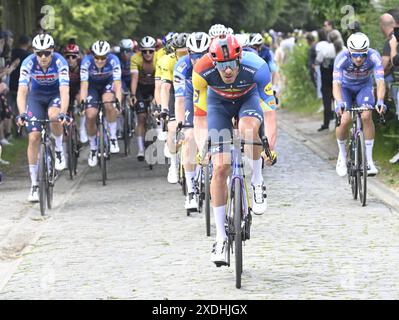 Zottegem, Belgique. 23 juin 2024. Tim Declercq belge de Lidl-Trek photographié en action lors de la course d'élite masculine des Championnats de Belgique de cyclisme, 220 km, de Sint-Lievens-Houtem à Zottegem, dimanche 23 juin 2024. GROUPE DE PHOTOS BELGA TOM GOYVAERTS crédit : Belga News Agency/Alamy Live News Banque D'Images