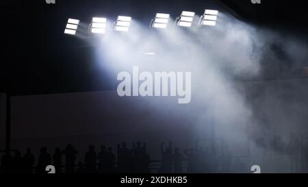 Cologne, Allemagne. 22 juin 2024. Football : Championnat d'Europe, Belgique - Roumanie, tour préliminaire, Groupe E, jour de match 2, stade de Cologne. Les fans roumains regardent le match. Crédit : Rolf Vennenbernd/dpa/Alamy Live News Banque D'Images